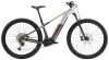 Trek Powerfly+ 6 EU L 29 Lunar Silver/Mercury